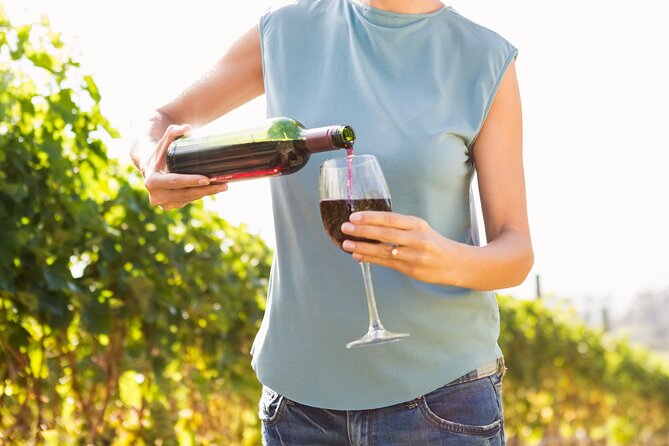 Troodos Mountains Vino Venture: All Inclusive Full Day Wine Tour - Key things to know before booking