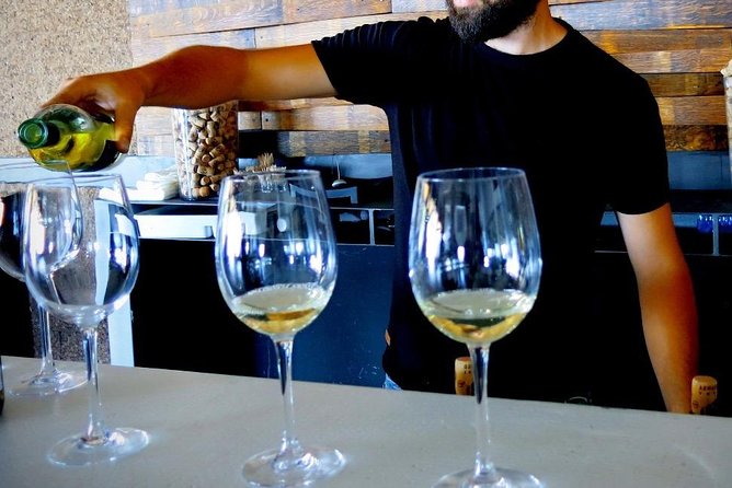 Troodos Mountains Vino Venture: All Inclusive Full Day Wine Tour - Transport, comfort, and group size