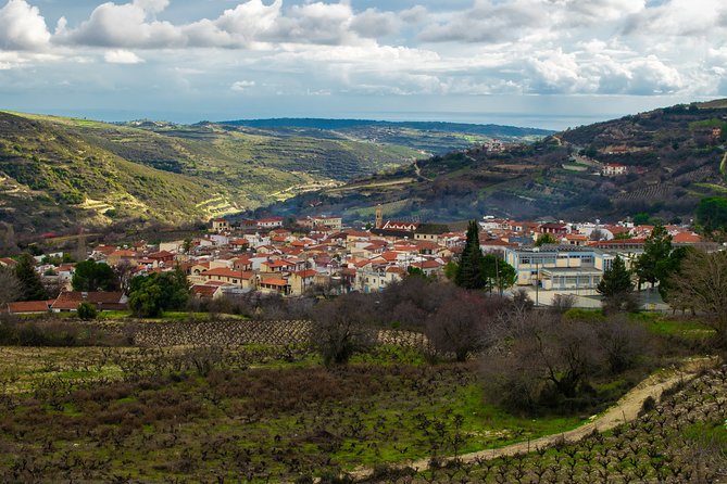 Troodos Mountains Vino Venture: All Inclusive Full Day Wine Tour - What the $142.76 price really covers