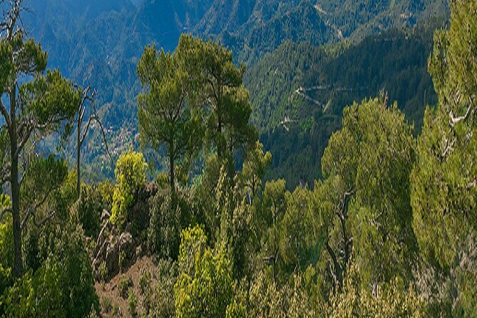 Troodos Peaks & Mountain Flavors Day Tour from Paphos - The mountain roads, weather, and coach ride