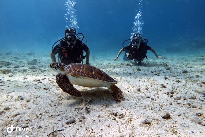 Try a Scuba Diving Experience - Why the instructors matter so much