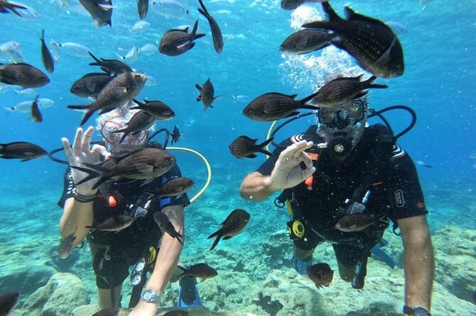 Try a Scuba Diving Experience - The free photos and videos are real value
