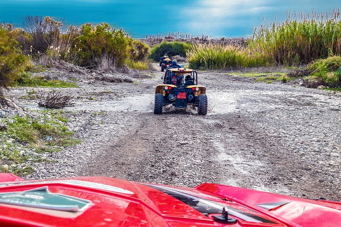 Village & Mountain Buggy Safari in Paphos - The mountain section brings the most variety