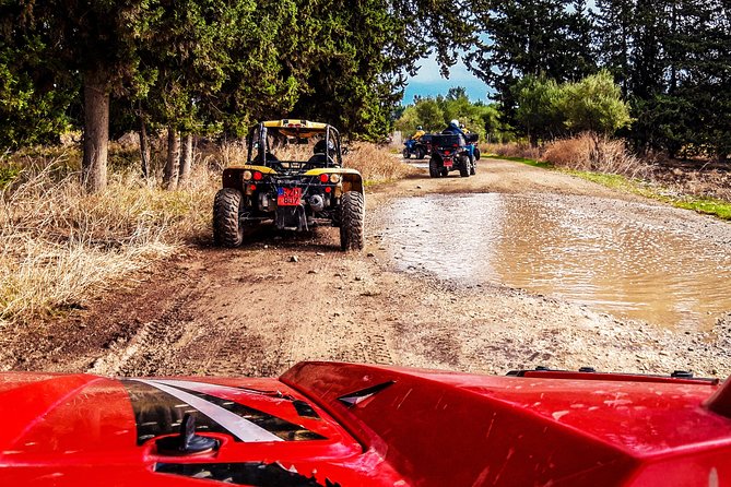 Village & Mountain Buggy Safari in Paphos - Riccos Beach gives you the first taste of the route