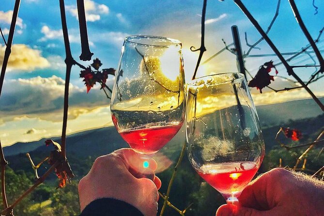 Wine Tasting and Winery Tour in Lemona Village, Paphos - Reaching Tsangarides Winery in Lemona Village