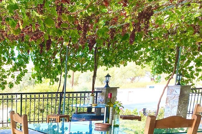 Wine Tasting and Winery Tour in Lemona Village, Paphos - What you may taste: seven Cypriot wine styles