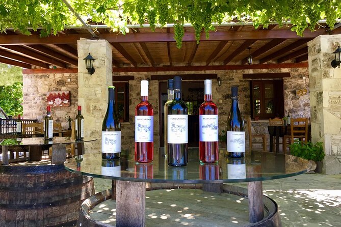 Wine Tasting and Winery Tour in Lemona Village, Paphos - Organic wine and the Cyprus connection