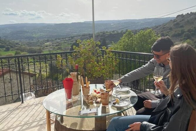 Wine Tasting and Winery Tour in Lemona Village, Paphos - Price, timing, and the value question