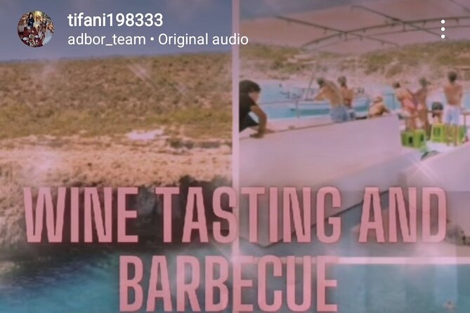 Wine tasting on-board the Demetris Chara BBQboat BlueLagoon tours - Barbecue lunch on the boat